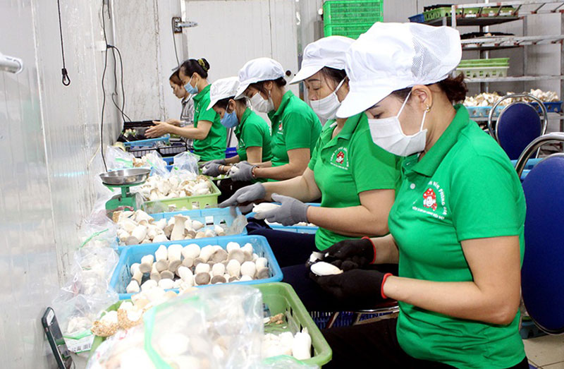 Vĩnh Phúc giải ngân vốn đầu tư công đạt xấp xỉ 62% -2