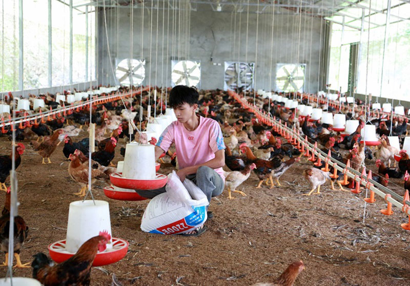 Vĩnh Phúc giải ngân vốn đầu tư công đạt xấp xỉ 62% -3