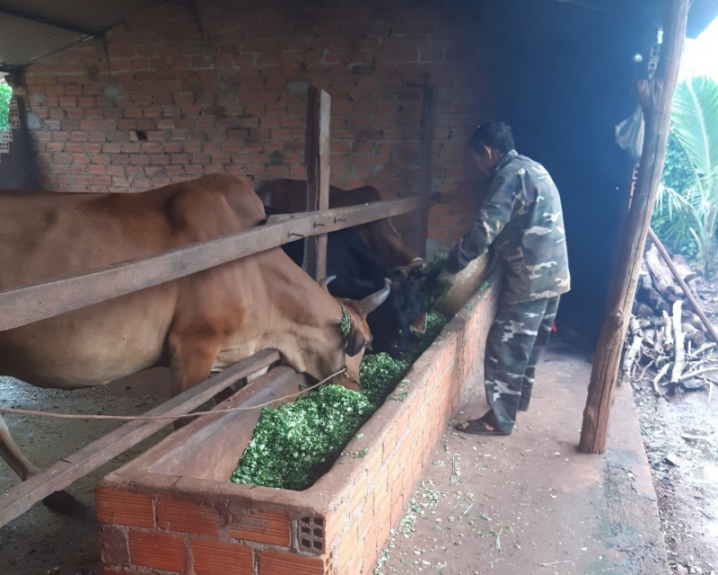 Khi cơn sốt đất qua đi -0