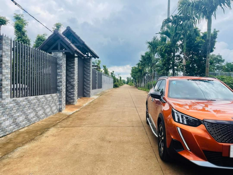 Khi cơn sốt đất qua đi -0