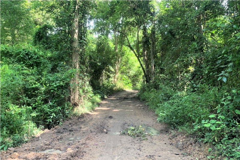 Kiểm tra thực tế “núi cát” tập kết trái phép trong khu bảo tồn thiên nhiên Ea Sô -0