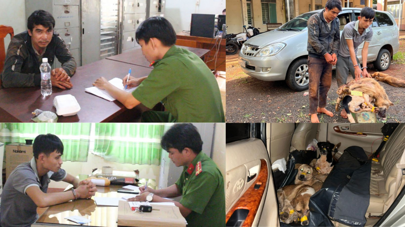 Bắt giữ hai đối tượng chuyên dùng ô tô đi trộm chó -0