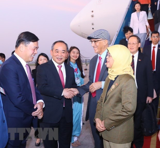 Tổng thống Singapore Halimah Yacob bắt đầu thăm cấp Nhà nước Việt Nam -0