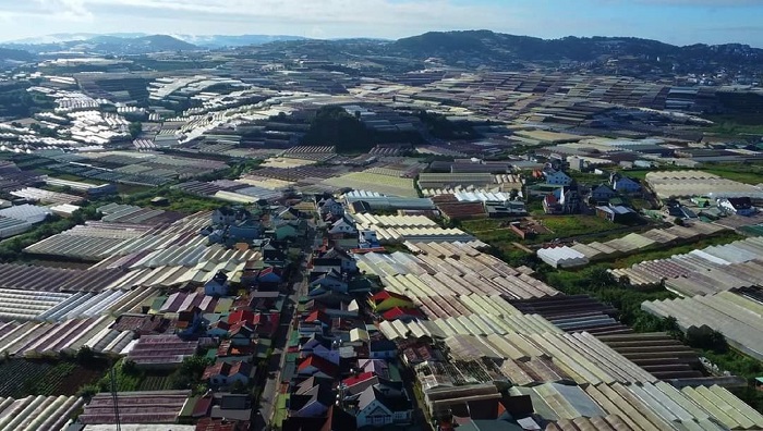 Năm 2030, Đà Lạt phải dỡ bỏ hết nhà kính, nhà lưới -0