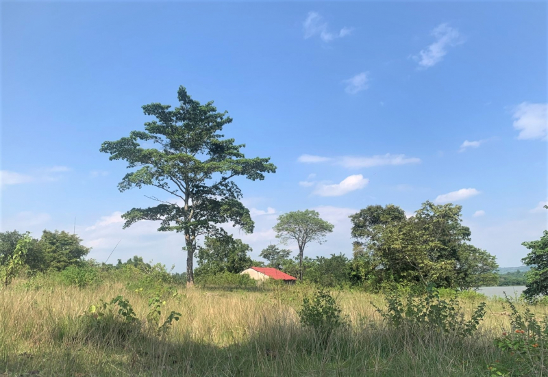 Nguyên Bí thư Tỉnh ủy Đắk Lắk nói gì khi tháo dỡ trang trại trong khu bảo tồn? -0