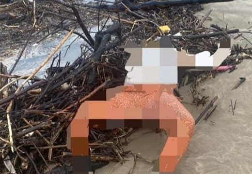  Phát hiện thi thể là nữ trôi dạt vào bờ biển -0