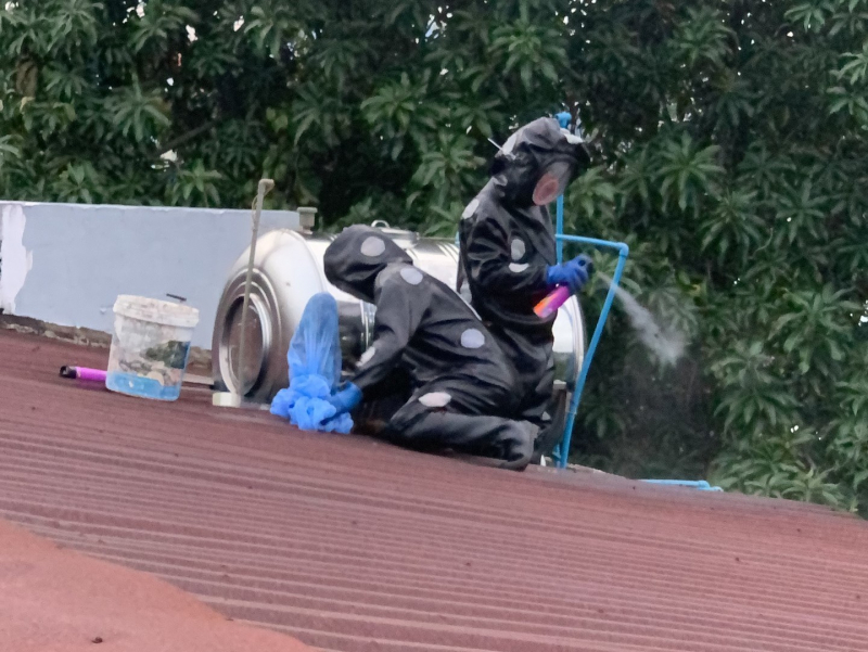 Sinh viên Bách Khoa thở phào khi tổ ong vò vẽ “khủng” được xử lý -0