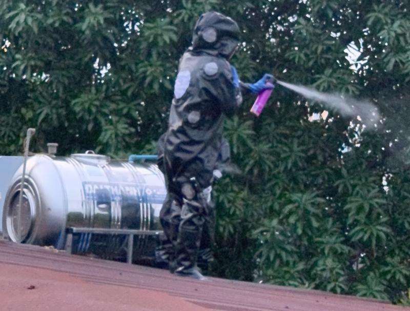 Sinh viên Bách Khoa thở phào khi tổ ong vò vẽ “khủng” được xử lý -1