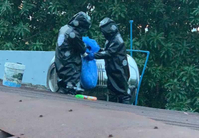 Sinh viên Bách Khoa thở phào khi tổ ong vò vẽ “khủng” được xử lý -2