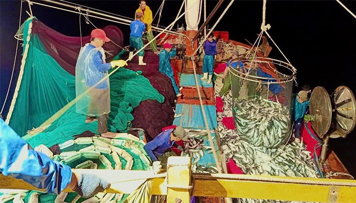 Giúp ngư dân vượt khó, yên tâm bám biển -0