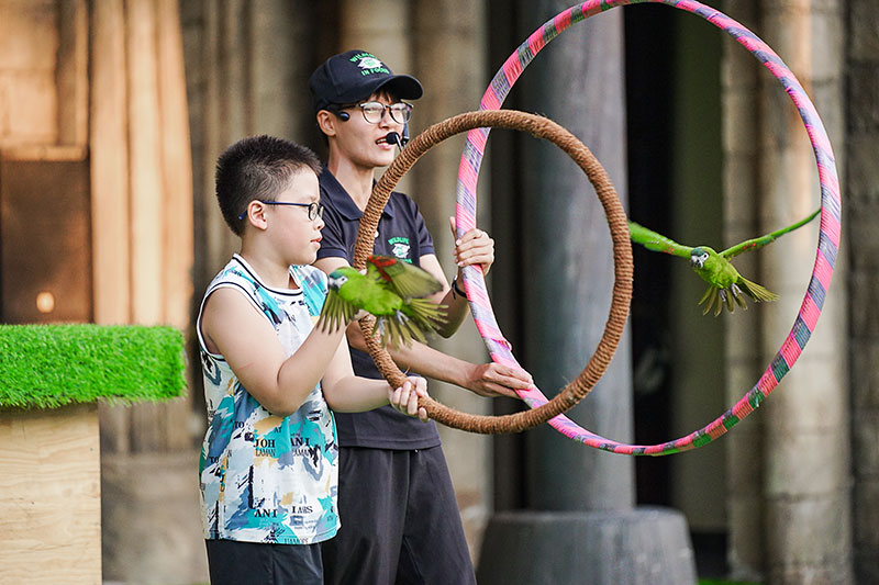 Show trình diễn Vũ điệu chim trời ấn tượng và hấp dẫn -1