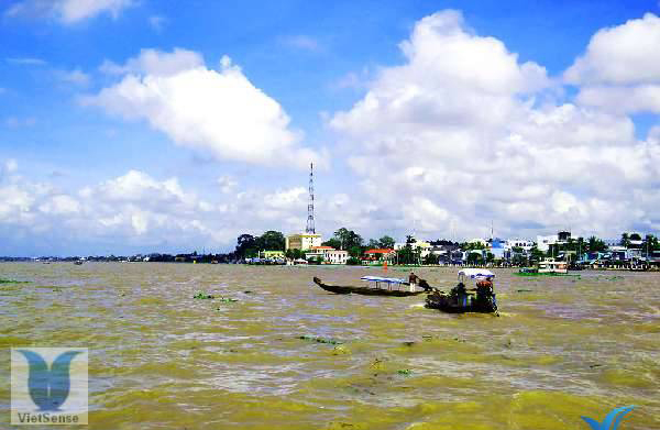 Lục bình trôi -0