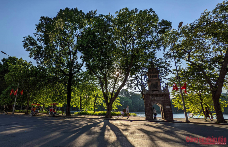 Nắng vàng trải khắp cả nước, miền Bắc đêm lạnh sâu -0