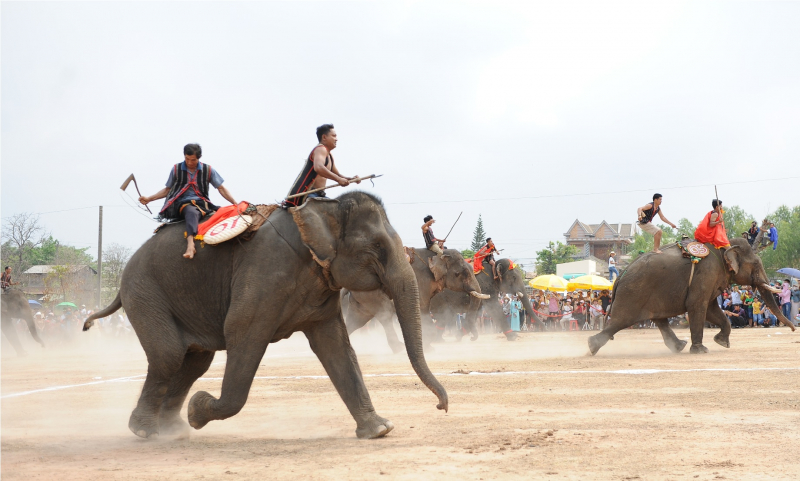 Nhiều chương trình đặc sắc tại Lễ hội Cà phê Buôn Ma Thuột lần thứ 8 -0