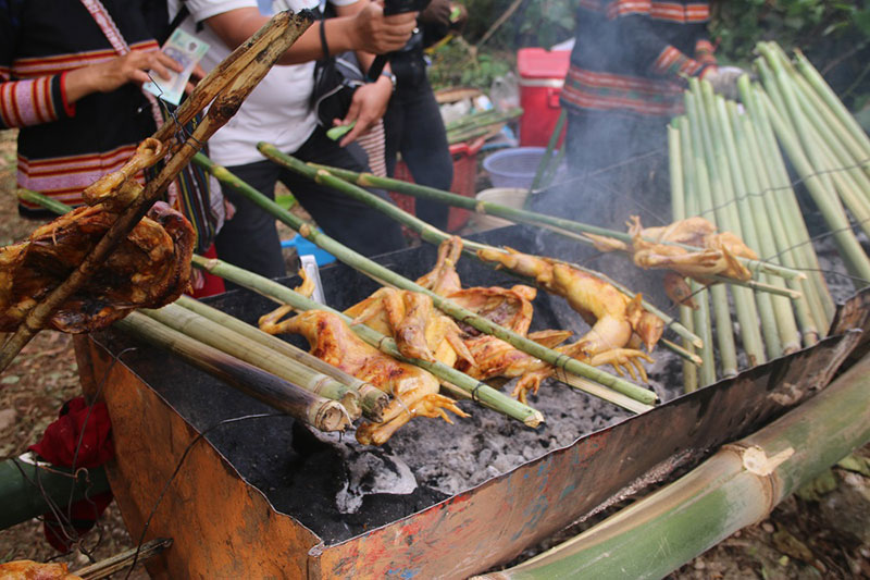 Rực rỡ hoa Dã Quỳ trên đỉnh Núi lửa Chư Đang Ya -1