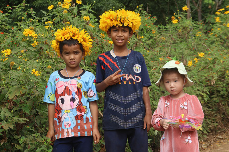 Rực rỡ hoa Dã Quỳ trên đỉnh Núi lửa Chư Đang Ya -0