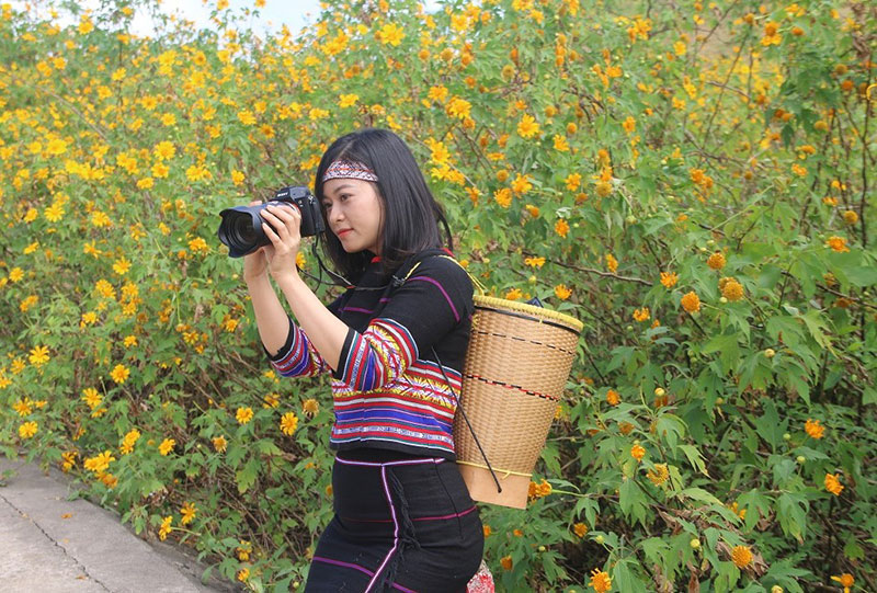 Rực rỡ hoa Dã Quỳ trên đỉnh Núi lửa Chư Đang Ya -0