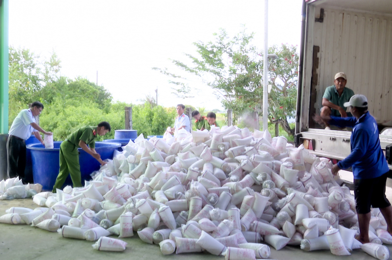 Tiêu hủy trên 2 triệu con tôm giống không giấy kiểm dịch -0