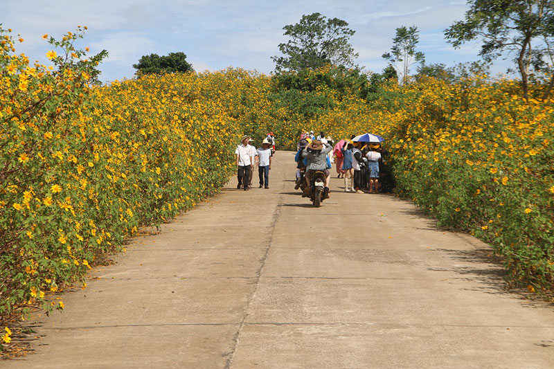 anh_3-1668246610465.jpg -2