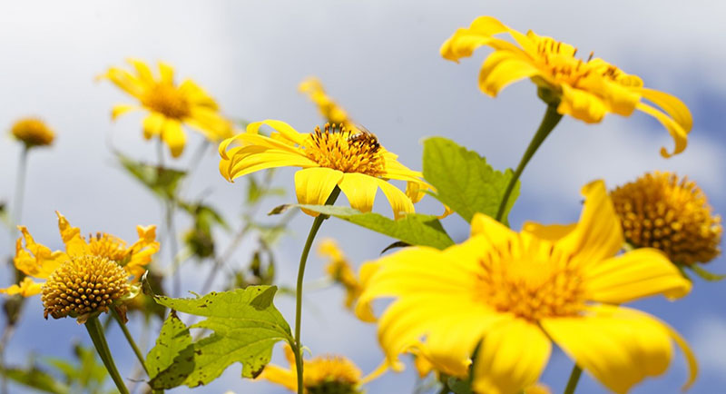 anh_9-1668246688129.jpg -7