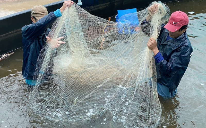 Xuất khẩu thủy sản đạt 11 tỷ USD -0