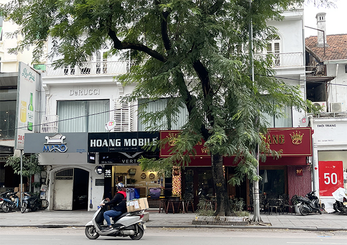 Nhiều sai phạm trong quản lý nhà chuyên dùng tại các khu đất 