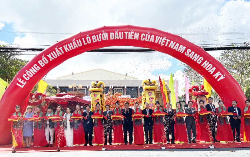 Xuất khẩu lô bưởi Việt Nam đầu tiên vào thị trường Hoa Kỳ -0