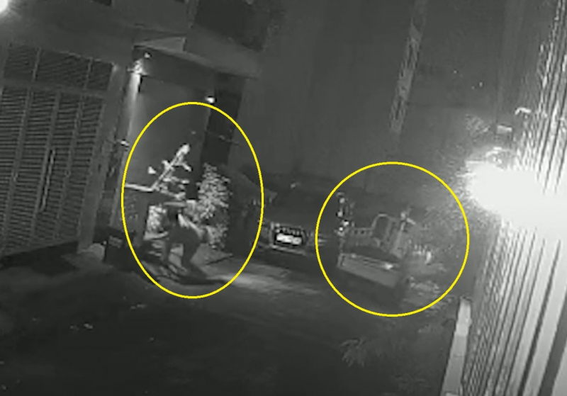 Đi xe ba gác, cắt cáp, trộm cây mai giá chục triệu đem về…chơi Tết -0