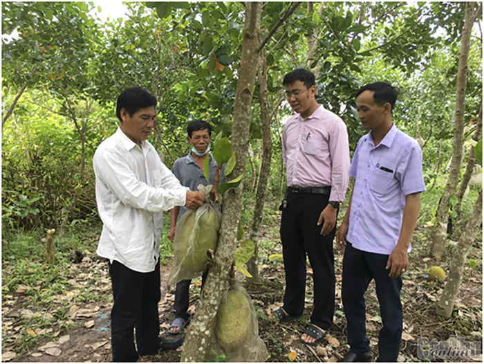 “Cầu nối” chuyển tải hiệu quả nguồn vốn tín dụng chính sách -0