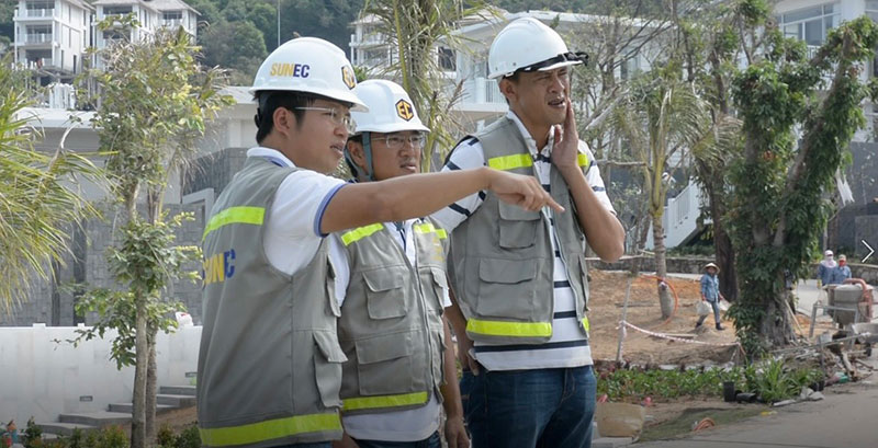 Những đóa hoa dơn thóc nở trong sương gió -0