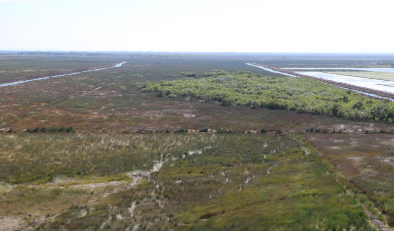 Tăng cường công tác vận động người dân tự nguyện giao nộp đất bao chiếm trái phép -0