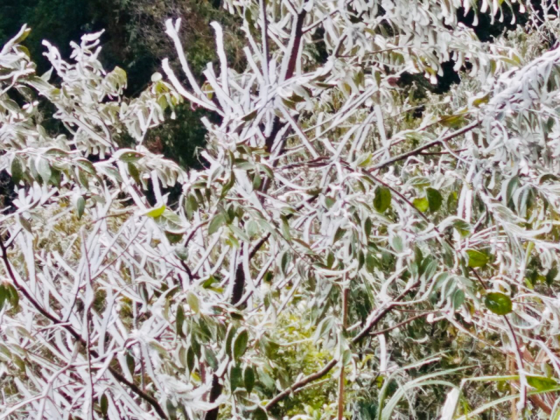 Ngắm tuyết phủ trắng xoá khu vực biên giới Nghệ An -0