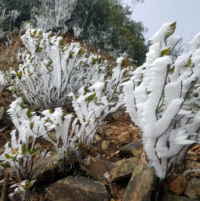 Ngắm tuyết phủ trắng xoá khu vực biên giới Nghệ An -1