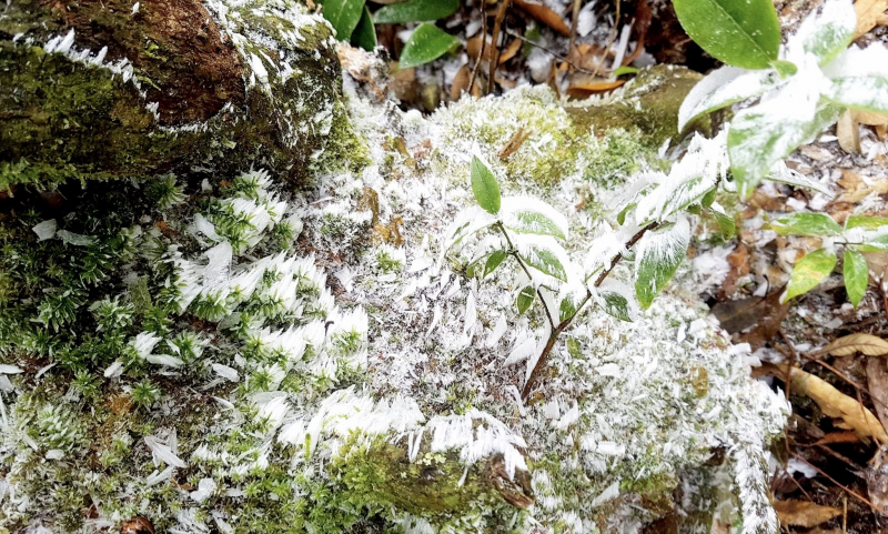 Ngắm tuyết phủ trắng xoá trên đỉnh Puxailaileng -1