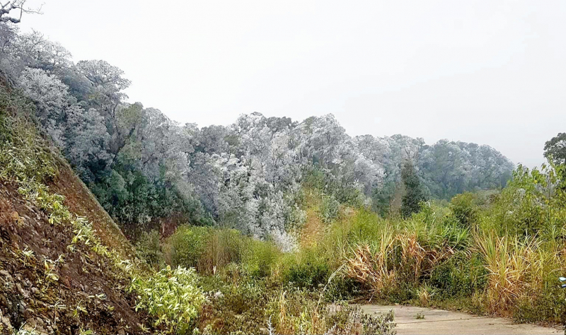 Ngắm tuyết phủ trắng xoá trên đỉnh Puxailaileng -1