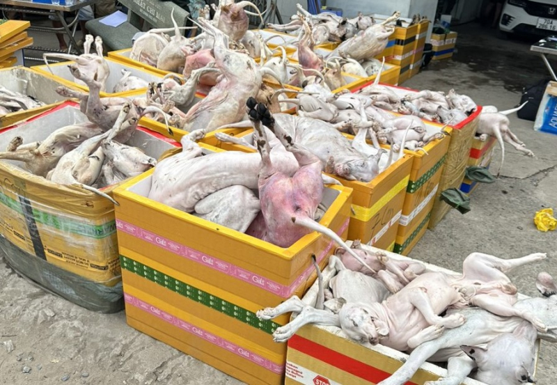 Phát hiện 1,4 tấn thịt chó nghi thu mua từ các đối tượng trộm chó -0