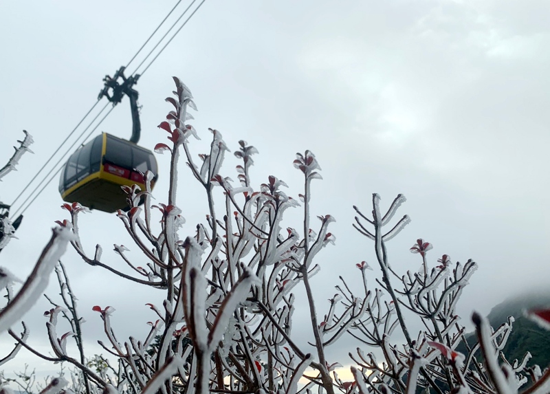 Fansipan mountain covered with frost -1