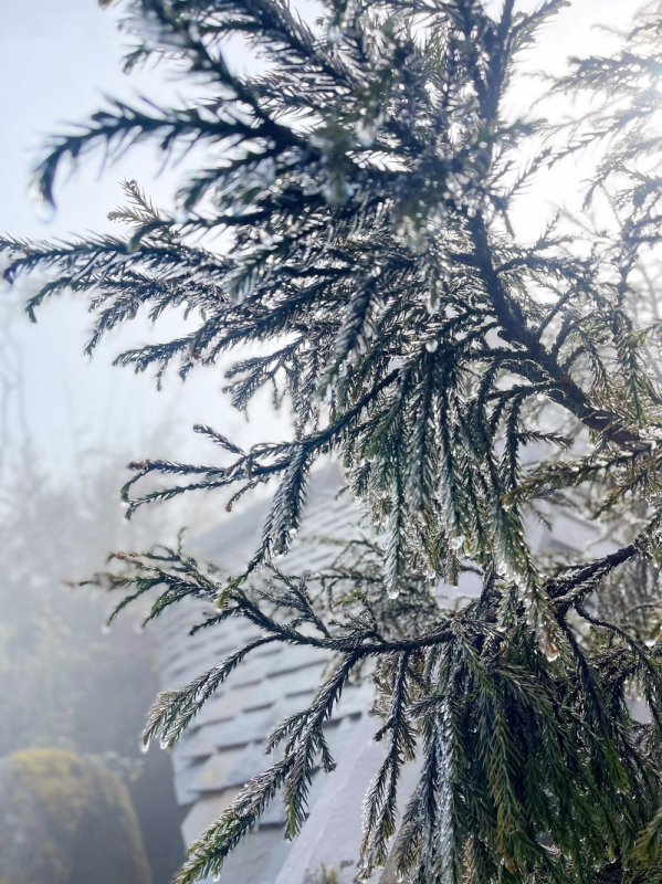Fansipan mountain covered with frost -3