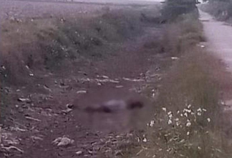 Nhanh chóng khóa tay đối tượng giết người, cướp tài sản ở Hưng Yên -0