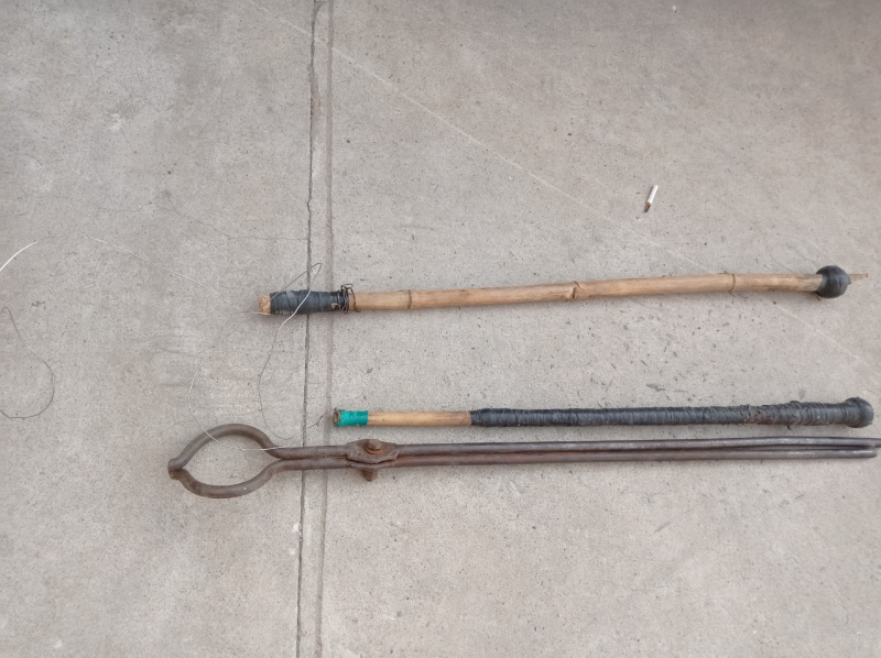 Triệt phá đường dây trộm chó mèo lên đến hàng ngàn con -0