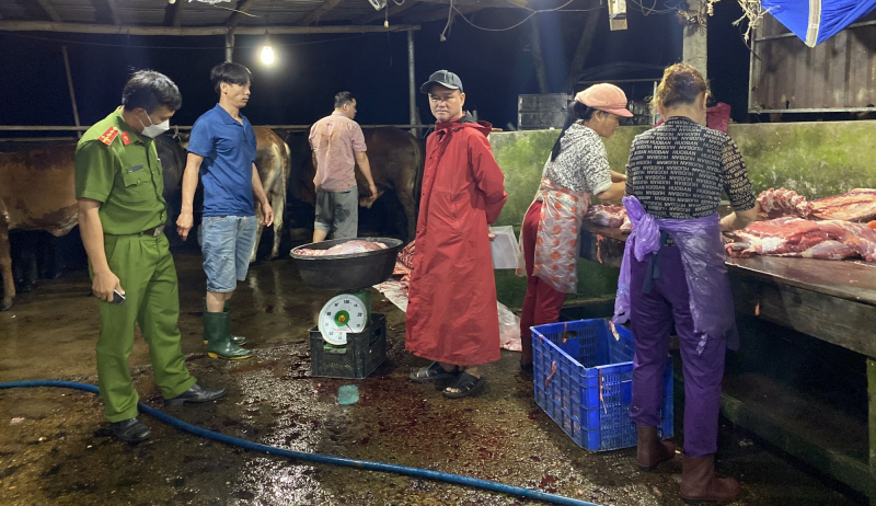 Đình chỉ hoạt động 4 cơ sở giết mổ tại Quảng Nam -0