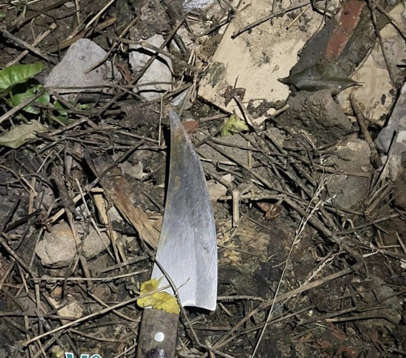 Sau 3 giờ, bắt giữ đối tượng gây trọng án  -0