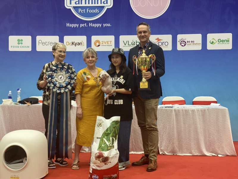 T44-Thú vị đi tìm