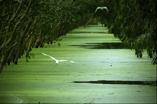 Hệ giá trị được phái sinh từ tư duy của nhà đầu tư -0