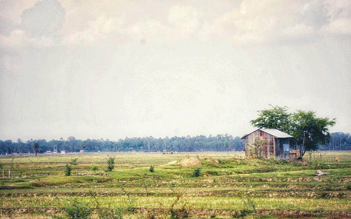 ANTGGT Tết trang 9: Lý do để về -0