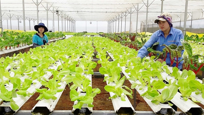 Phát triển nông nghiệp thịnh vượng, thực hiện khát vọng xây dựng đất nước hùng cường -0