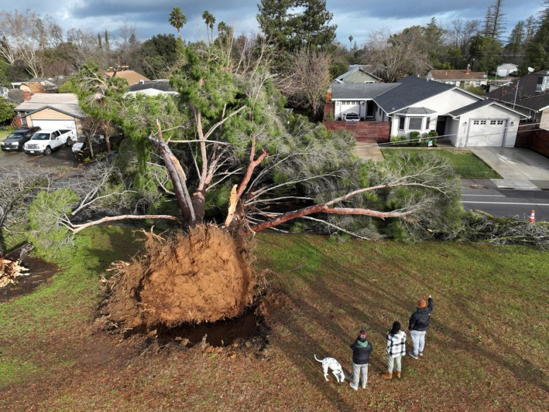 Mưa lũ bất thường tại California khiến hàng chục người thiệt mạng -0