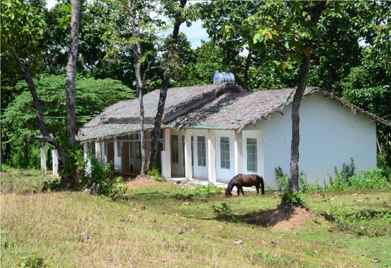 Cho thuê đất tràn lan, Chủ tịch Công ty Cổ phần Cao su Đắk Lắk chỉ bị kỷ luật khiển trách -0