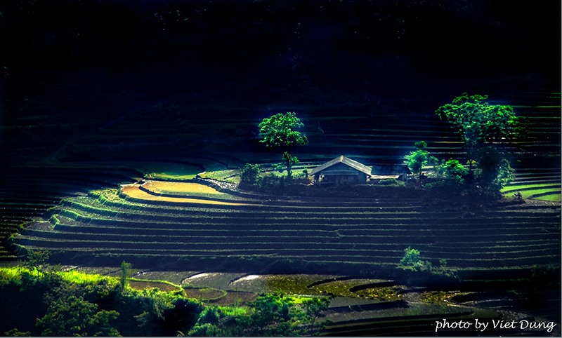 Giấc mơ lính của người cựu binh - đại tá an ninh -1