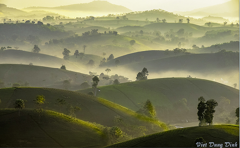 Giấc mơ lính của người cựu binh - đại tá an ninh -2